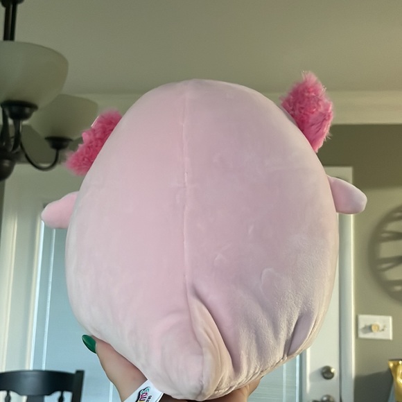 Archie squishmallow - Picture 2 of 2